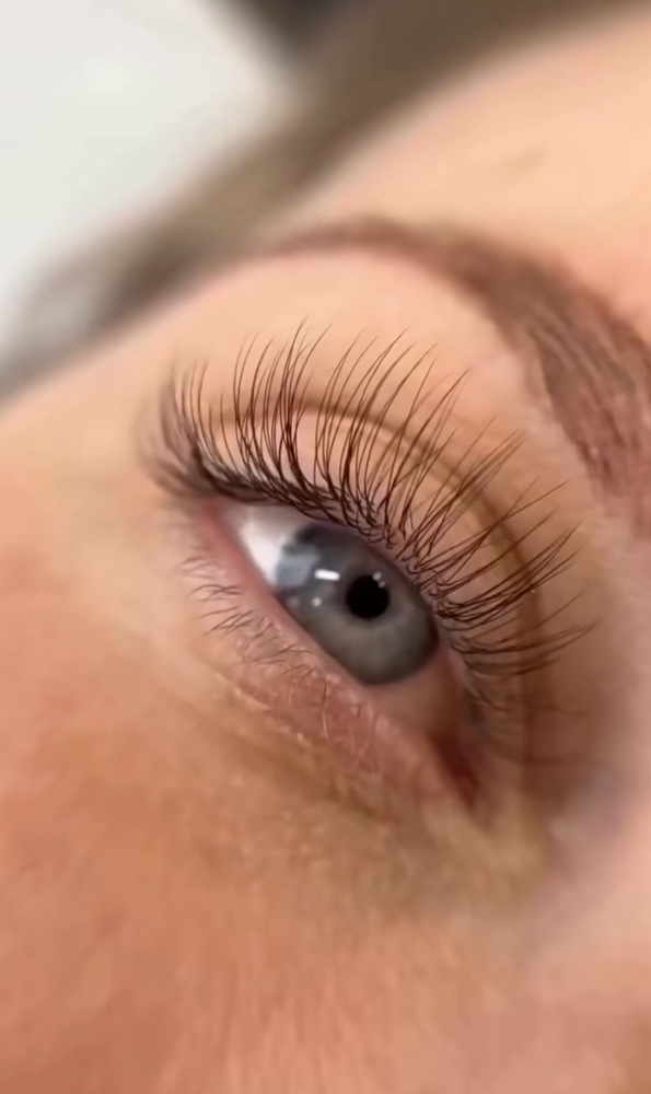 BLACK FRIDAY DEAL at Highbrow Beauty Bar in Pinellas Park, FL