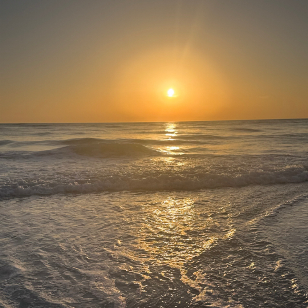 The Shoreline Blend at Salon Canvas & Social in South Pasadena, FL