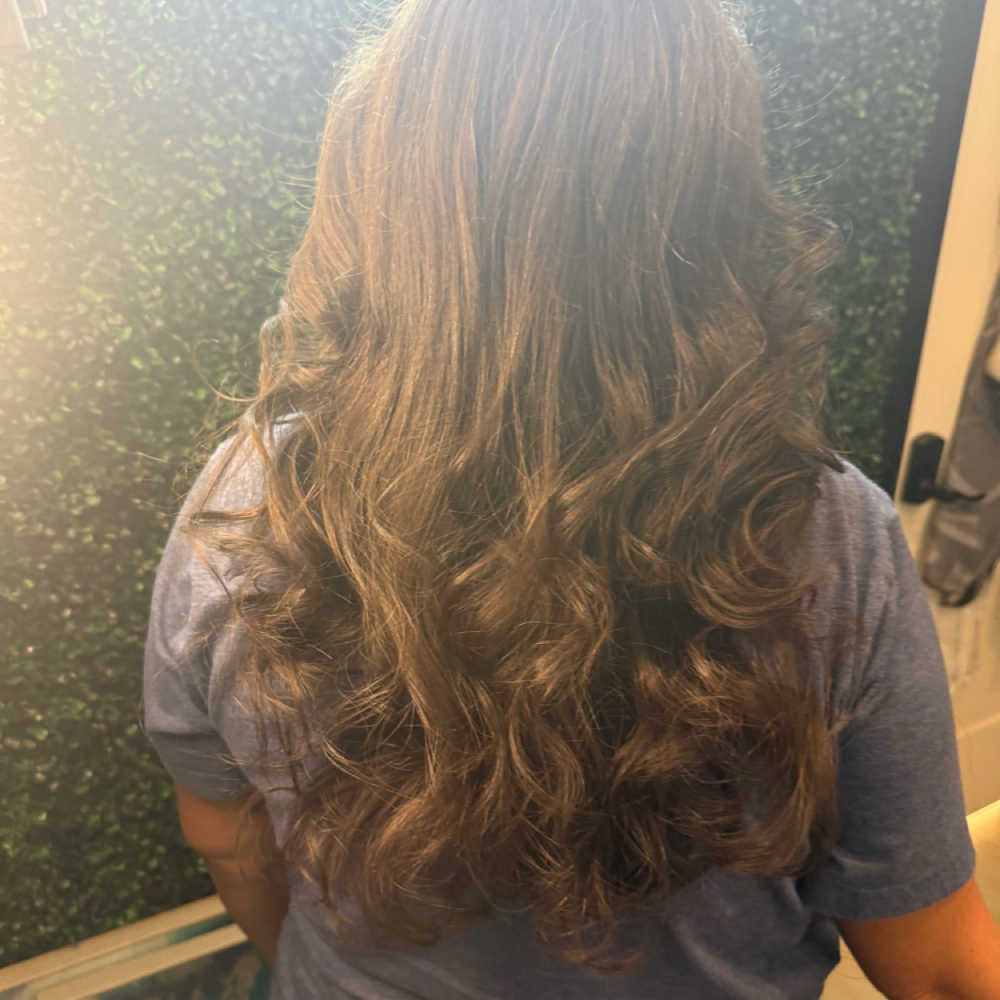 Gloss+Tone Refresh at Mo Blades in Willis, TX