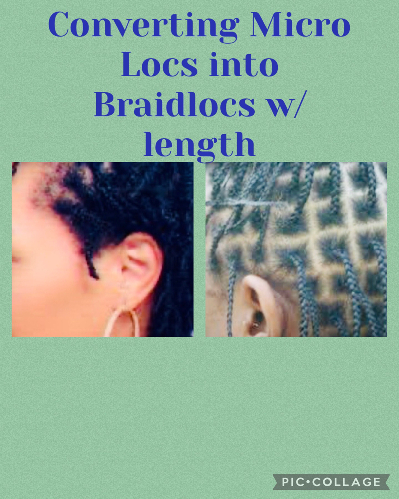 Braidlocs Over Establishment