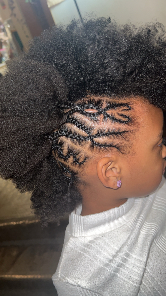 Kids Natural Hair Braids