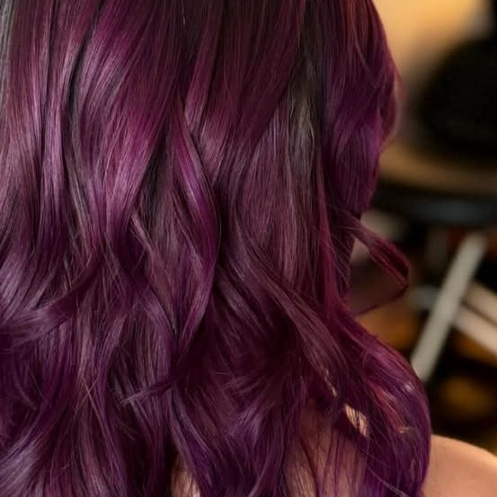 Fantasy Color Maintenance at Salon Dahlia in Brandon, FL