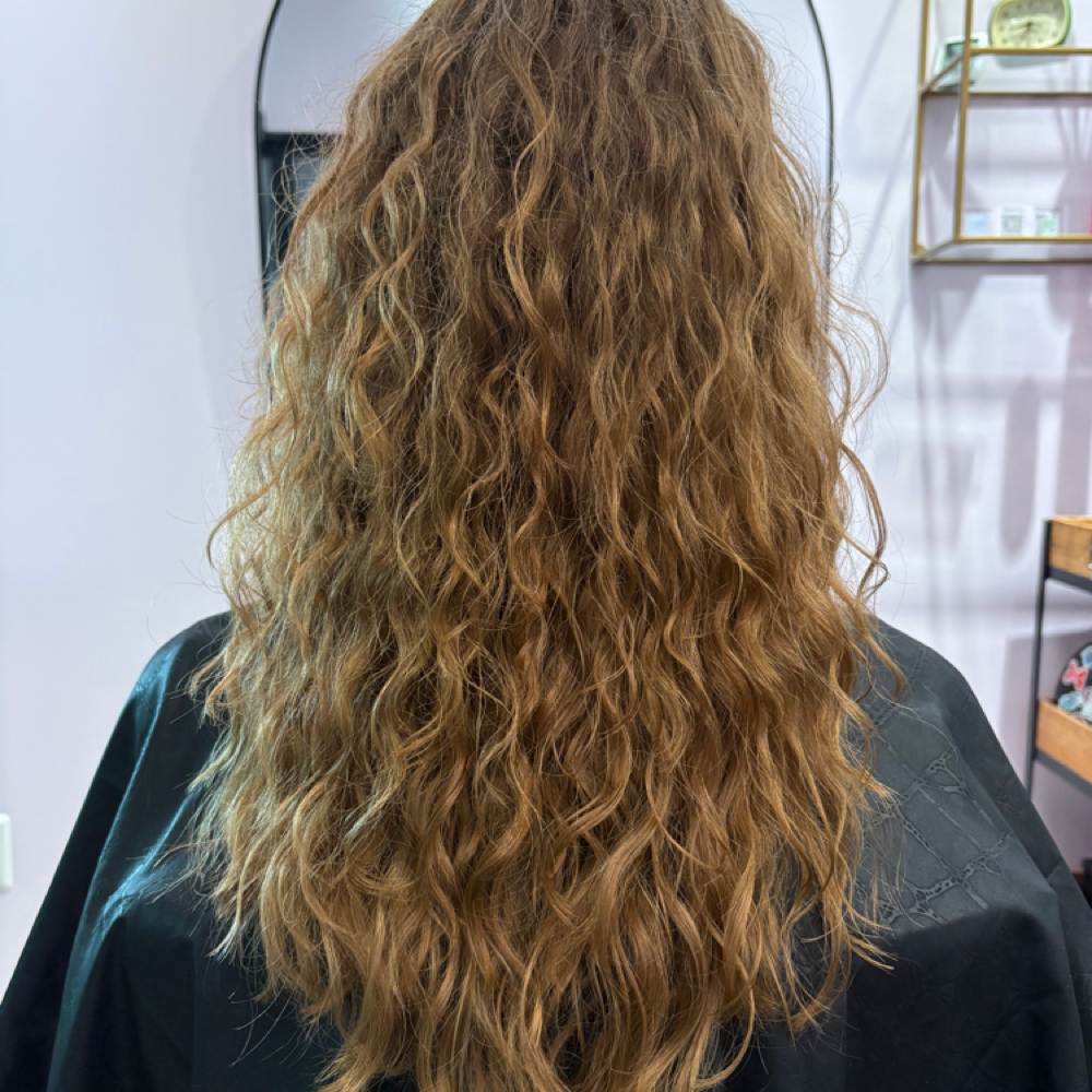 New Curly Cut at BeeCurly in Leesburg, VA