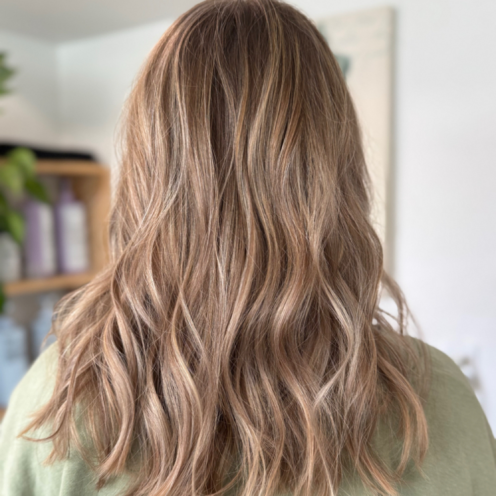 Gloss/ Toner + Haircut at Dani Gonz Hair Artistry in Colorado Springs, CO