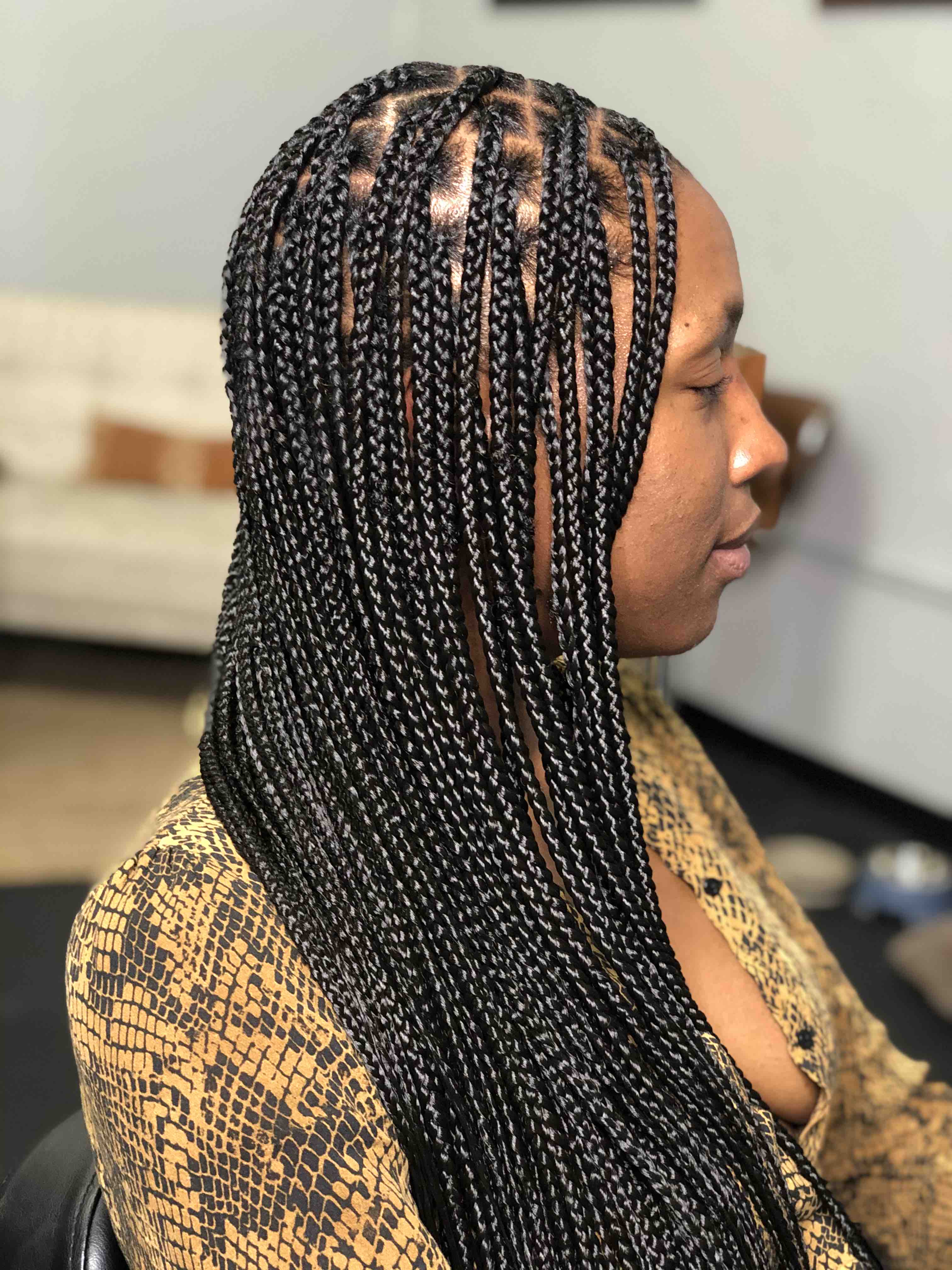 Small Knotless Box Braids w/ Human