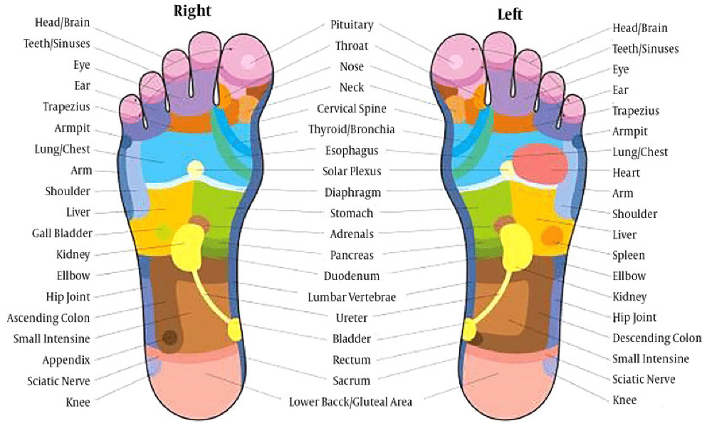 Reflexology