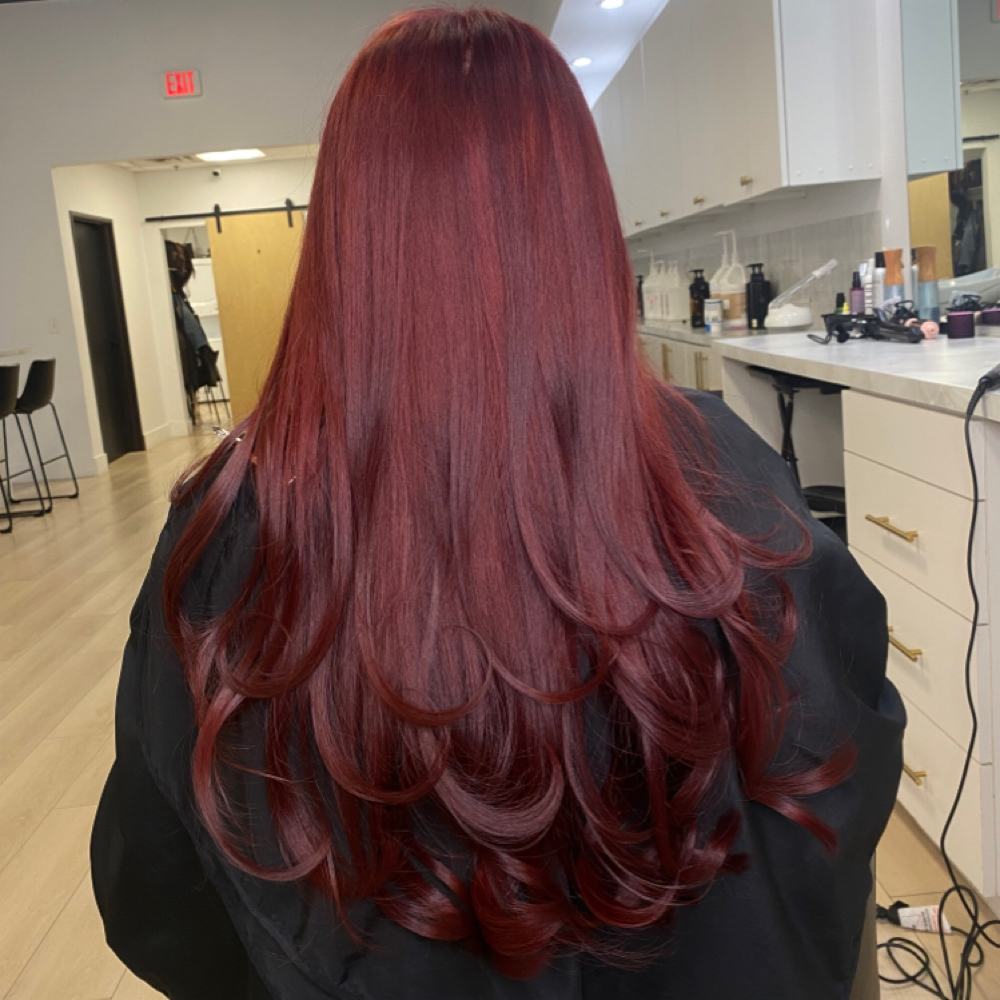 All Over Color Double Process at Modemia salon in Arlington, TX