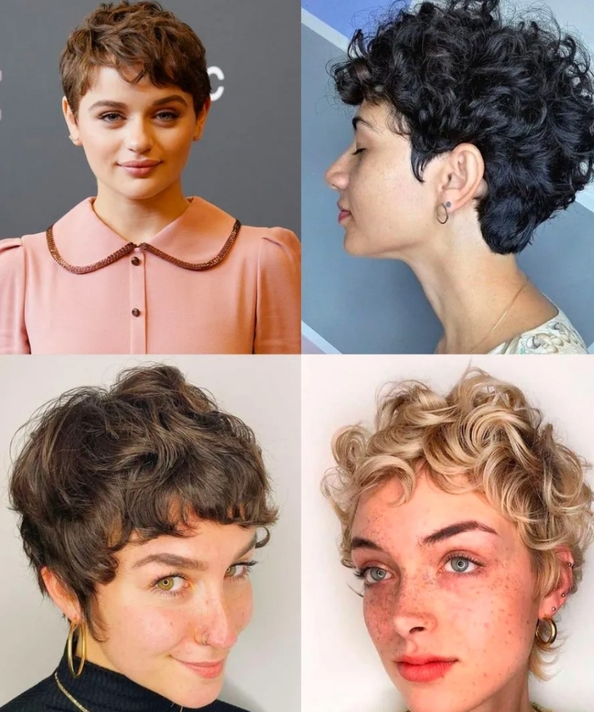 Haircut Styled Short Haircut