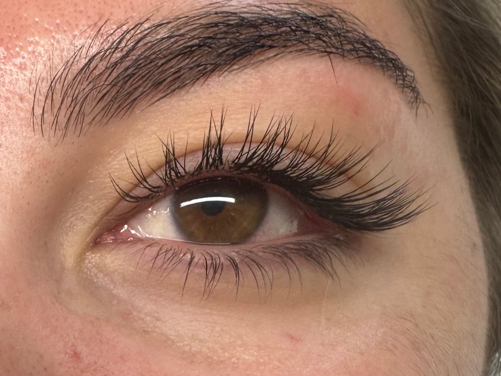 Classic Lash Extension