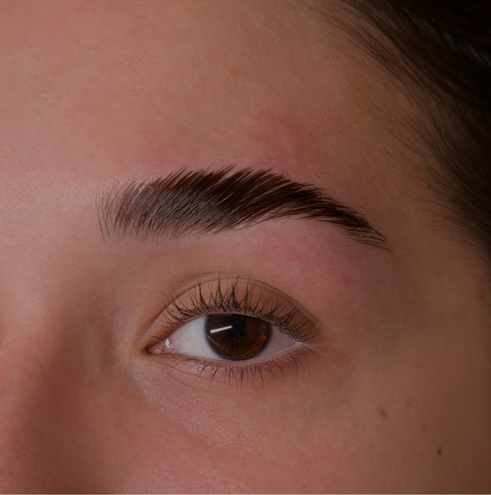 Brow Tint at Aura Esthetics Az LLC in Tempe, AZ