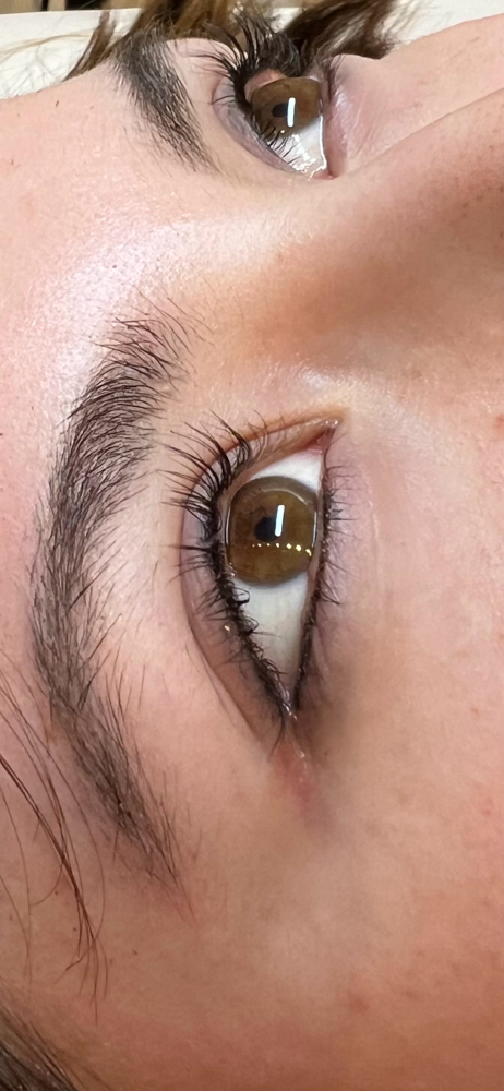 The Natural-Lash Lift and Tint