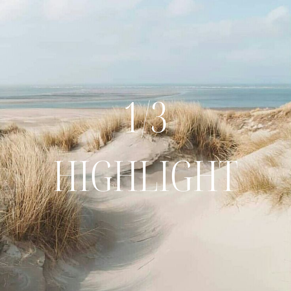 1/3 Highlight