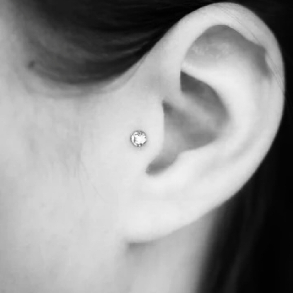 Tragus-MINOR at Art & Soul Tattoo/ The Gold Standard Piercing Studio in Conneaut, OH