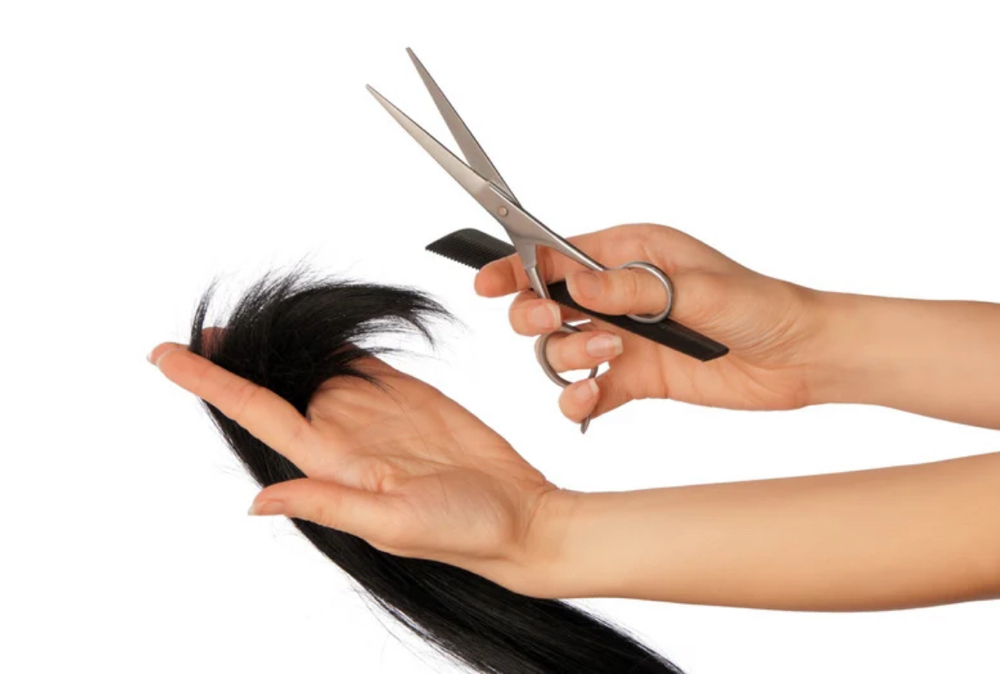 Women’s Haircut