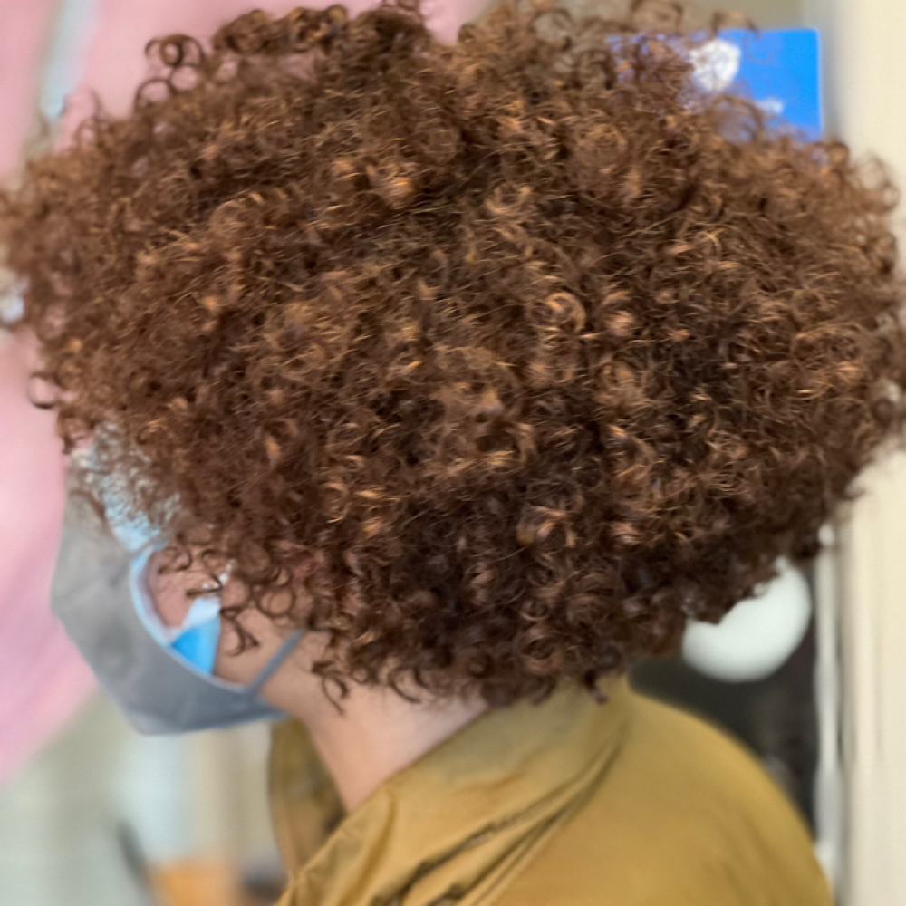 Online Curl Coaching Session 2 at Curls de Luxe in Naperville, IL