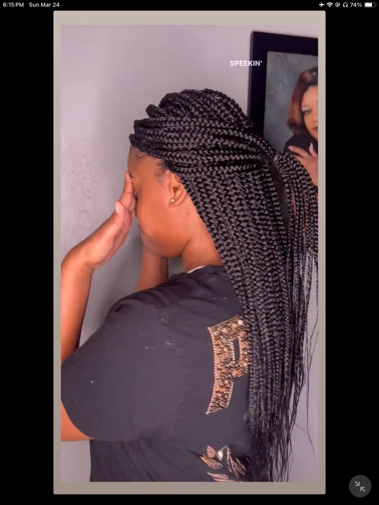 Small box braids reg length