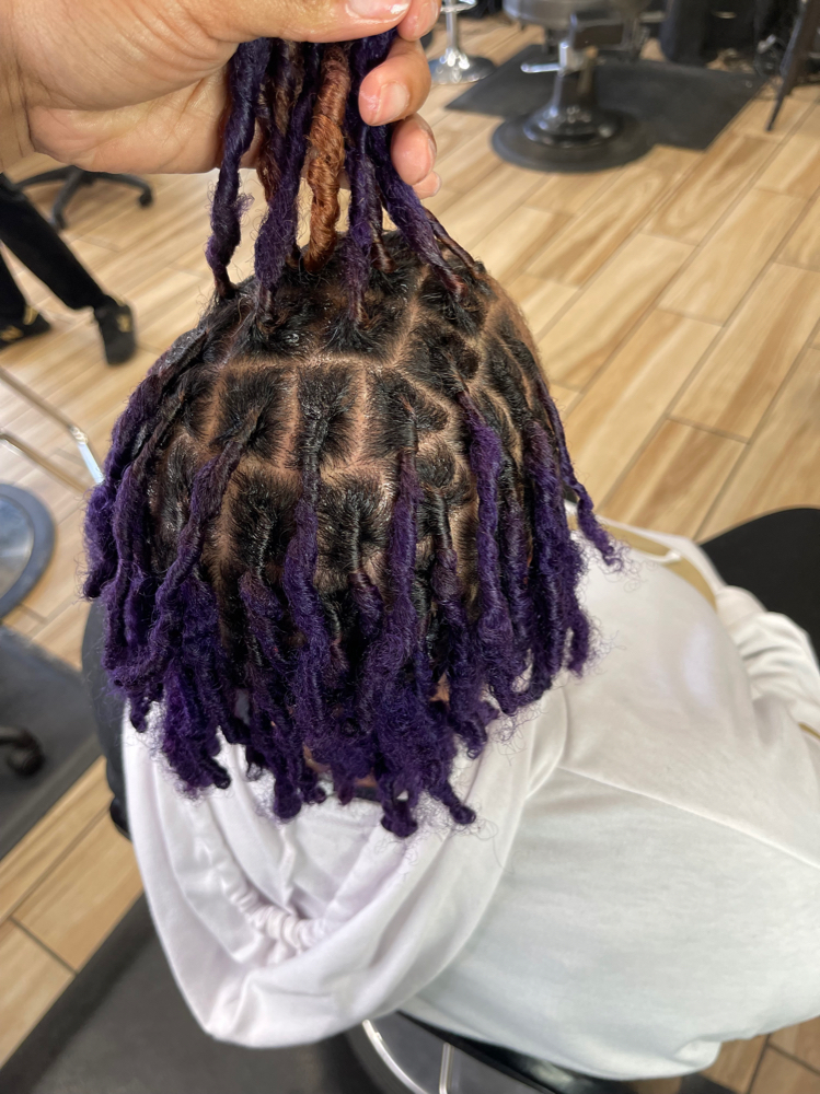 Starter Locs