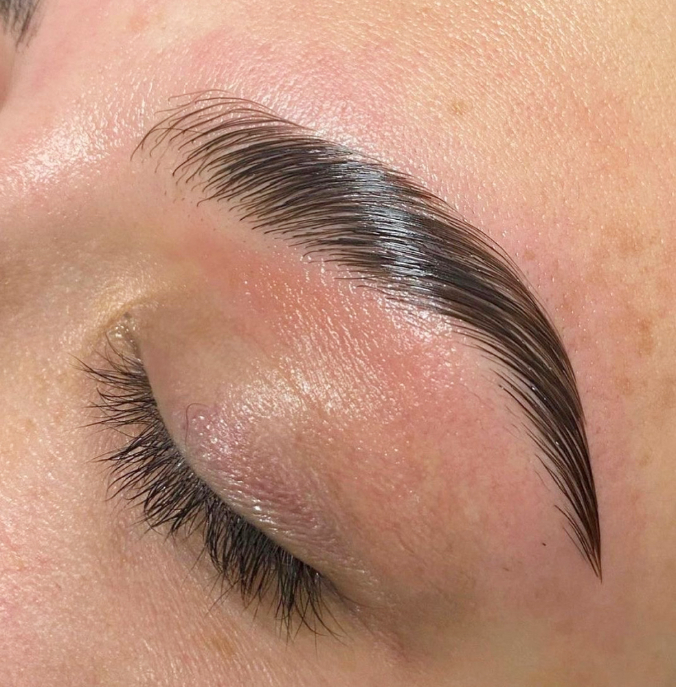 Eyebrow Lamination