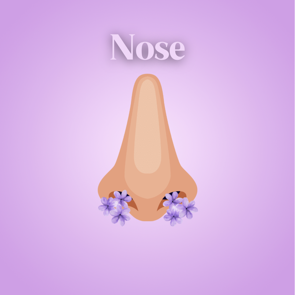 Nose