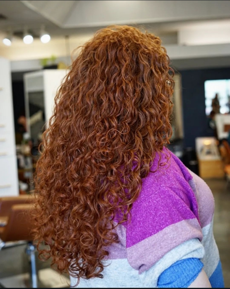 Curly Cut Long/ Extra Dense