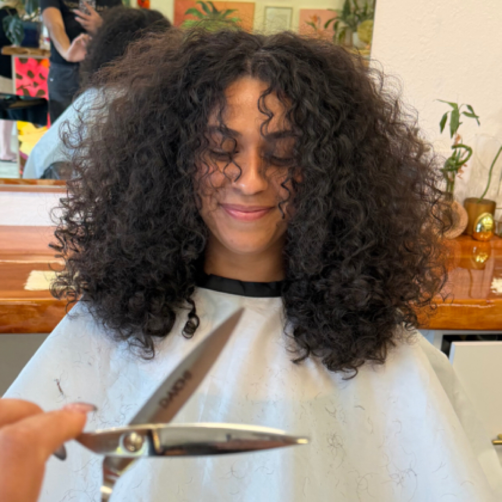 Express Sunshine Cut at Sunshine Curls in Tampa, FL