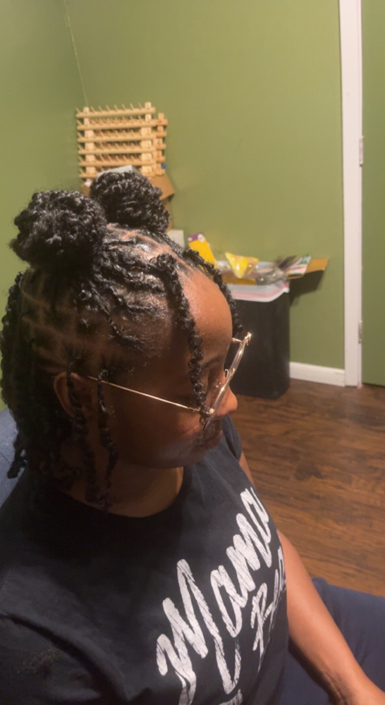 Starter Locs