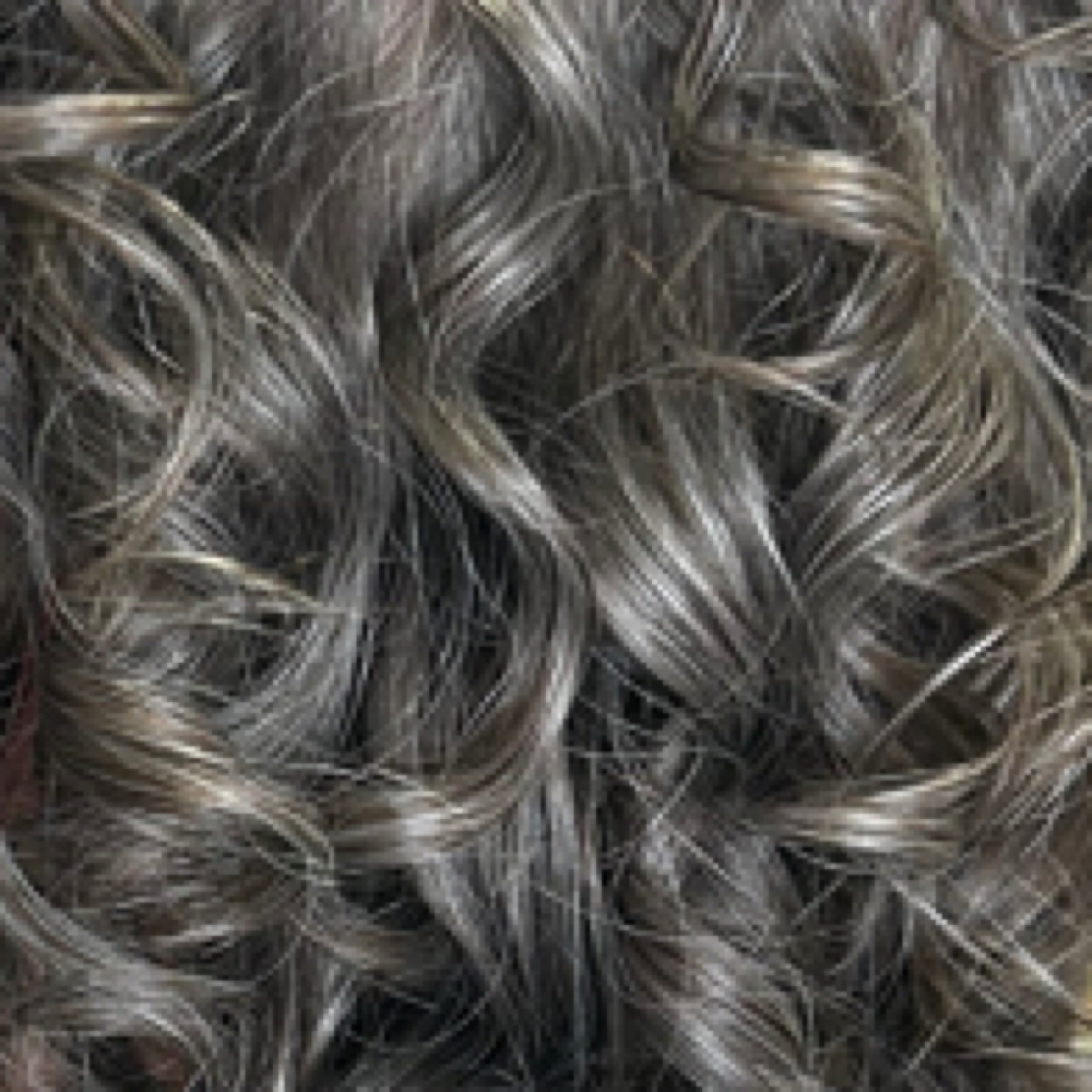 Toner (Gray Blending Maintenance) at Grace Sarasota Hair in Sarasota, FL