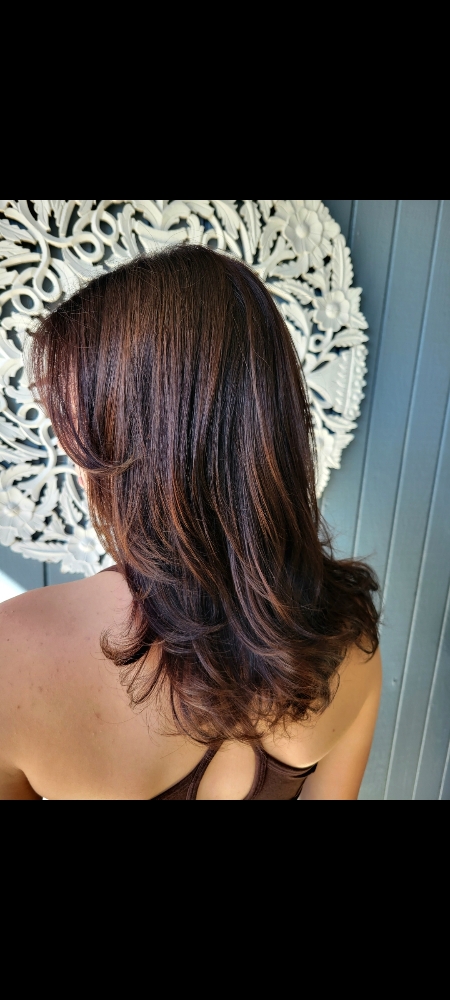 New Guest | Color & Cut