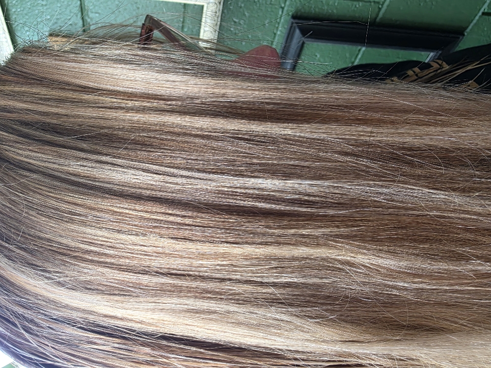 Highlights