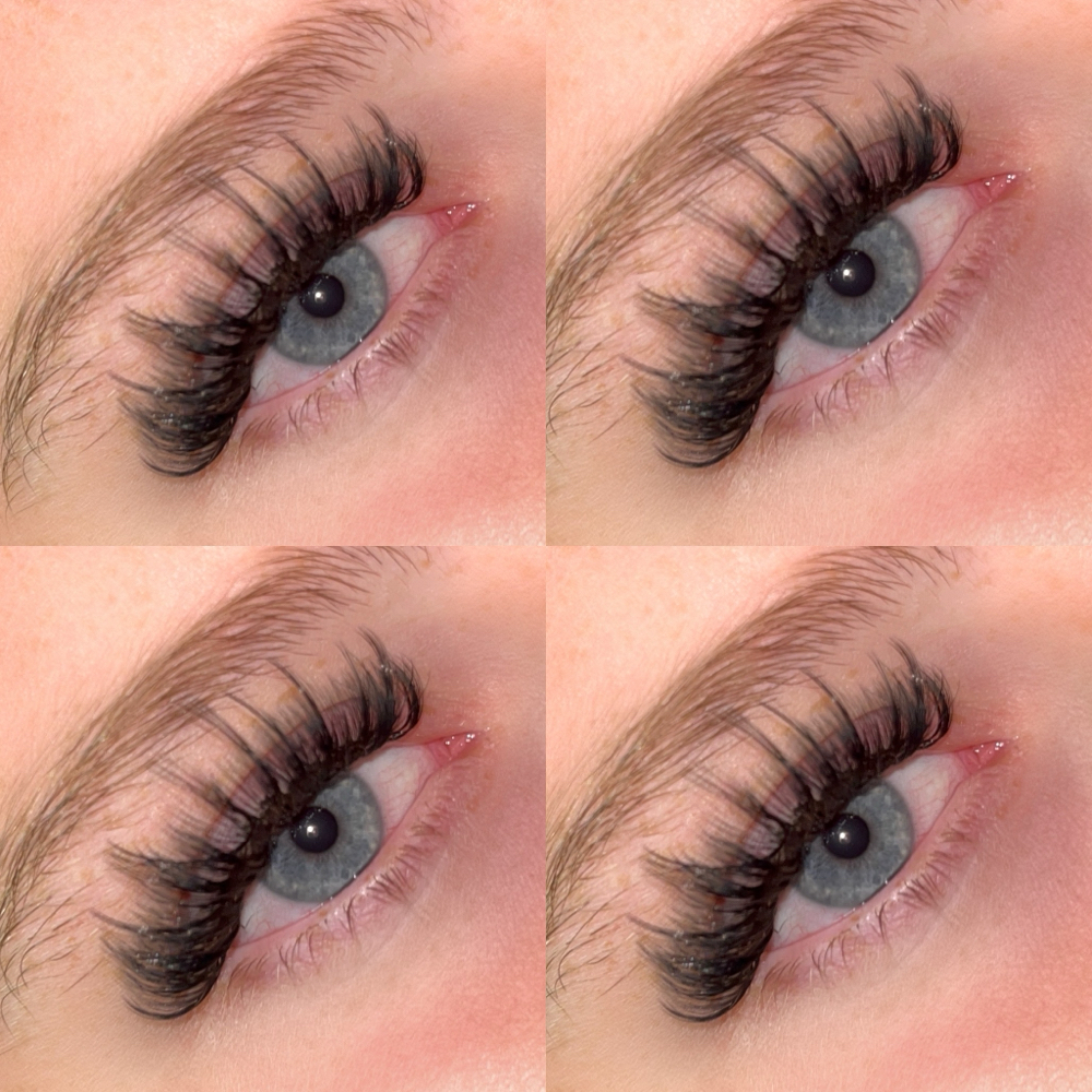 Wispy Volume FILLS **Prices Vary**