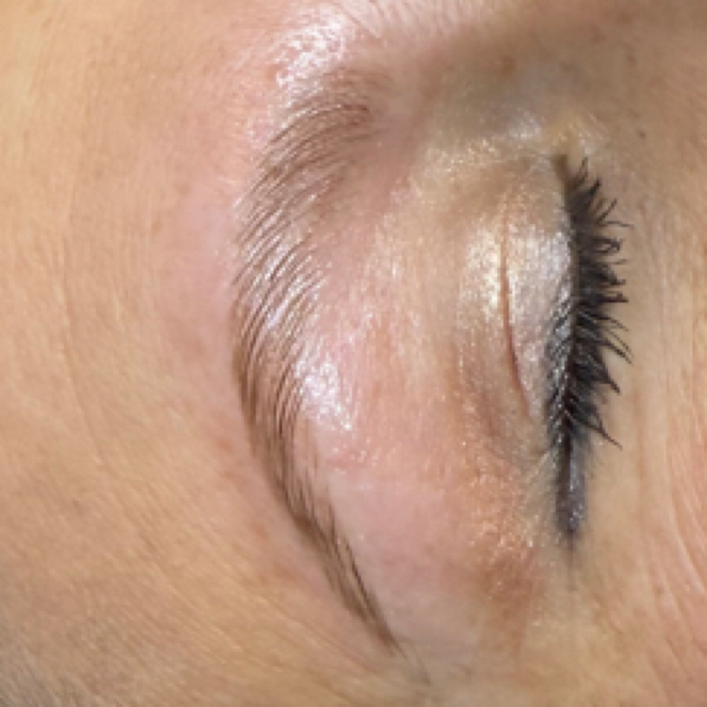 Brow Wax at The Lash & Beauty Bar in Elk City, OK