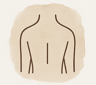 Back Wax at WaxHaus in Trinity, FL