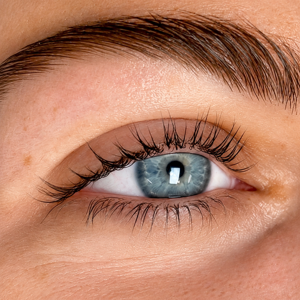 Signature Lash Lift—No Tint at Weston Lashes in Weston, FL