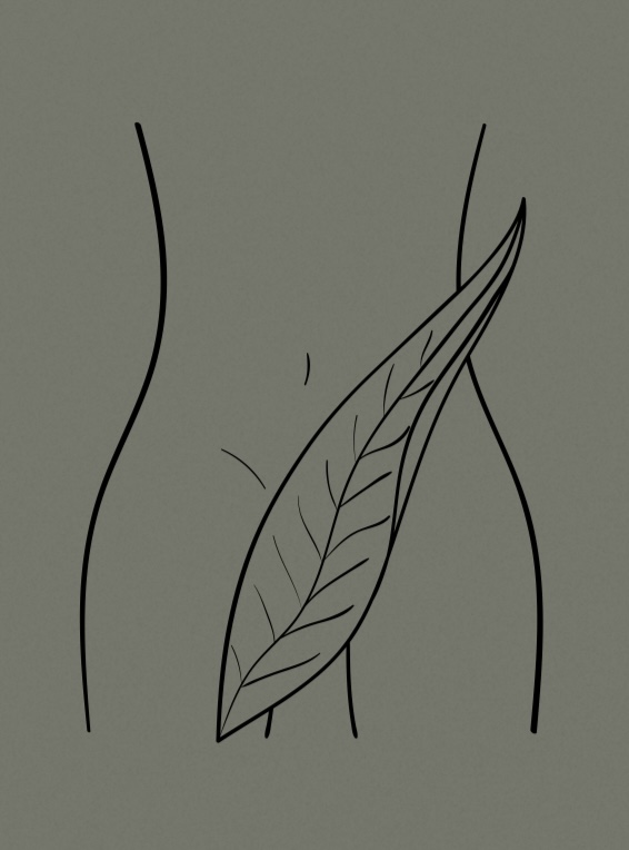 Women’s Brazilian at Aesthetics with Dany in Henderson, NV