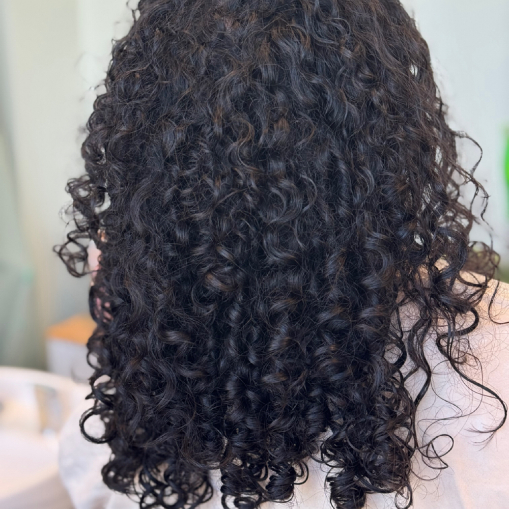 CURLY HAIRCUT + STYLE at Wild Bloom Hair Studio in Wyomissing, PA