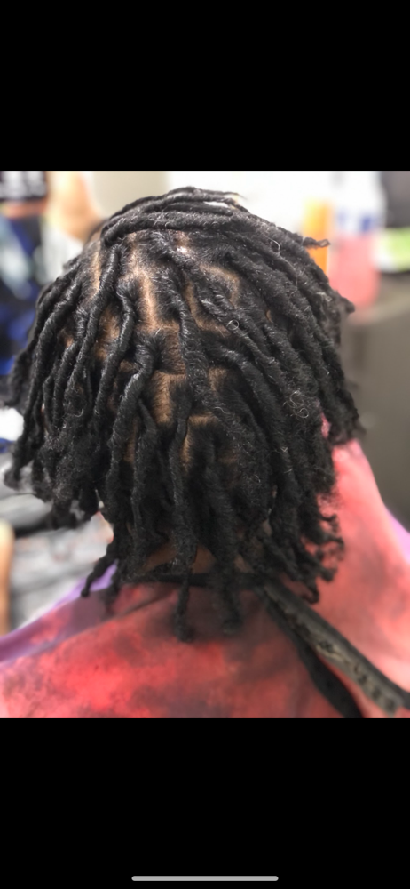 Mesh Braid Starter Locs at ChariseRenee’J Hands of A Goddess in Kettering, MD