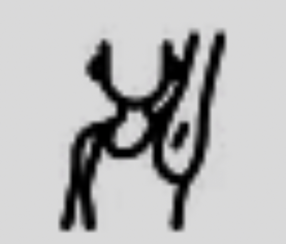 Armpits