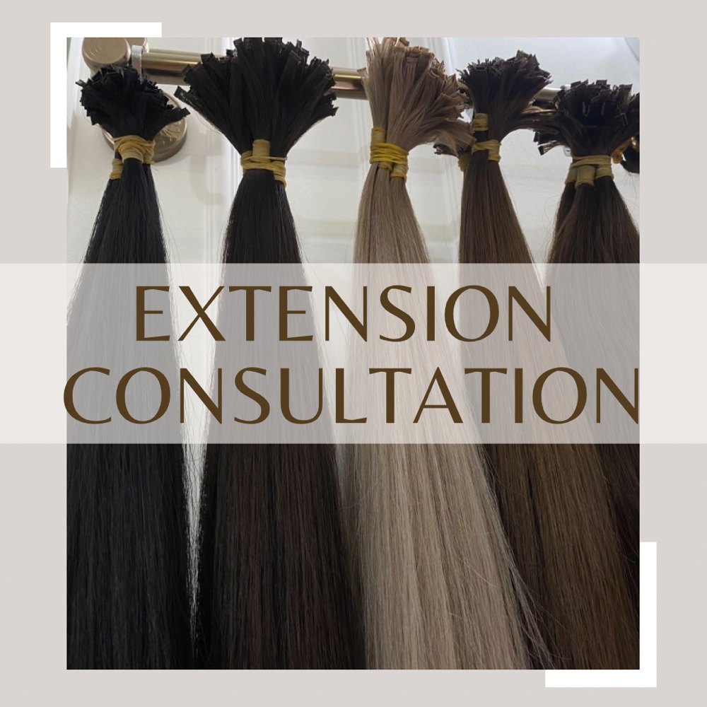 Hair Extension Consultation