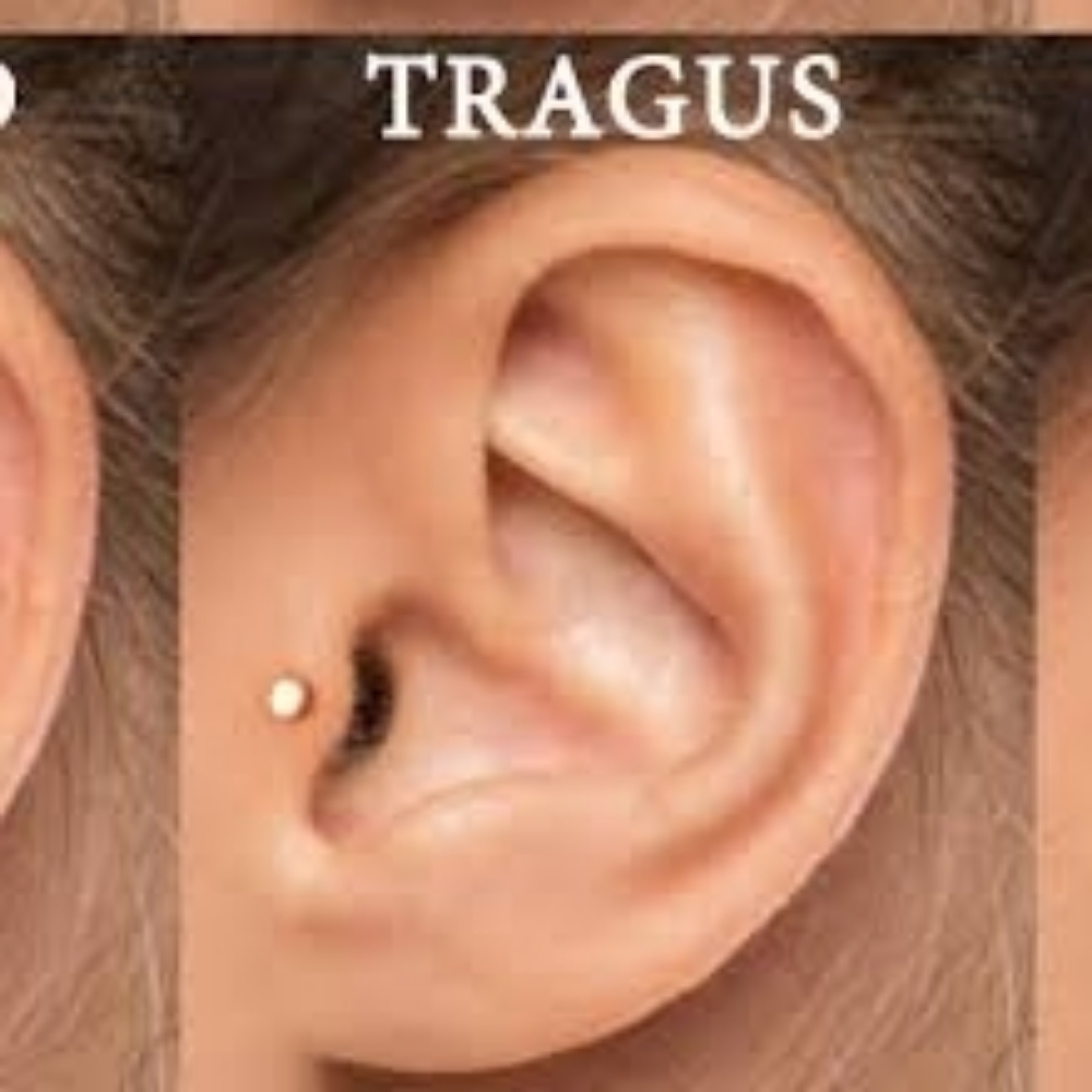 Tragus at Piercings By Autumn in New Castle, PA