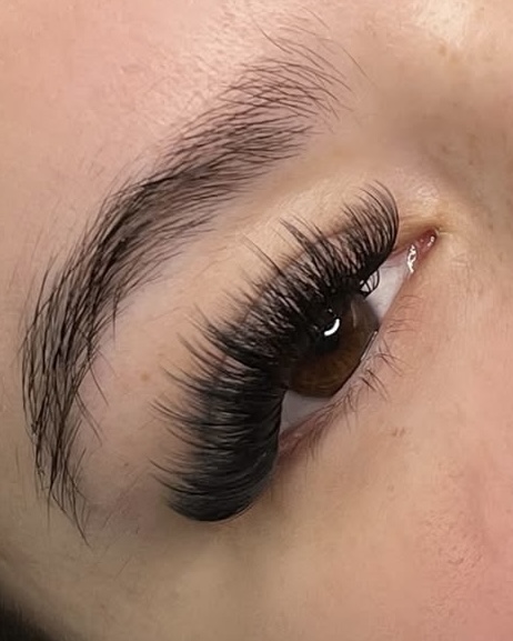 Volume Lashes