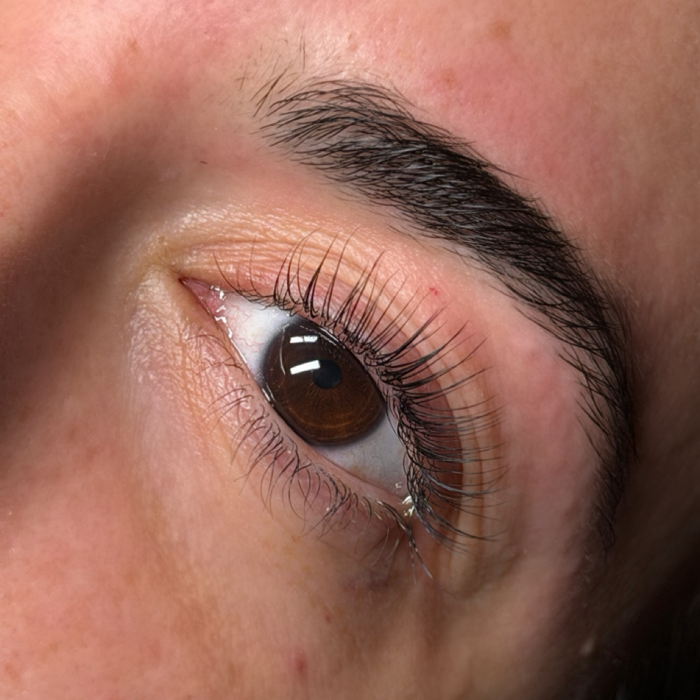 Korean Lash Lift and Tint at Beauty Bar ILM in Wilmington, NC