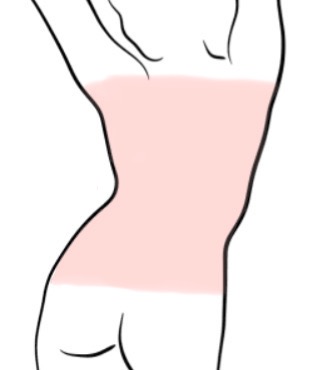 Back Full