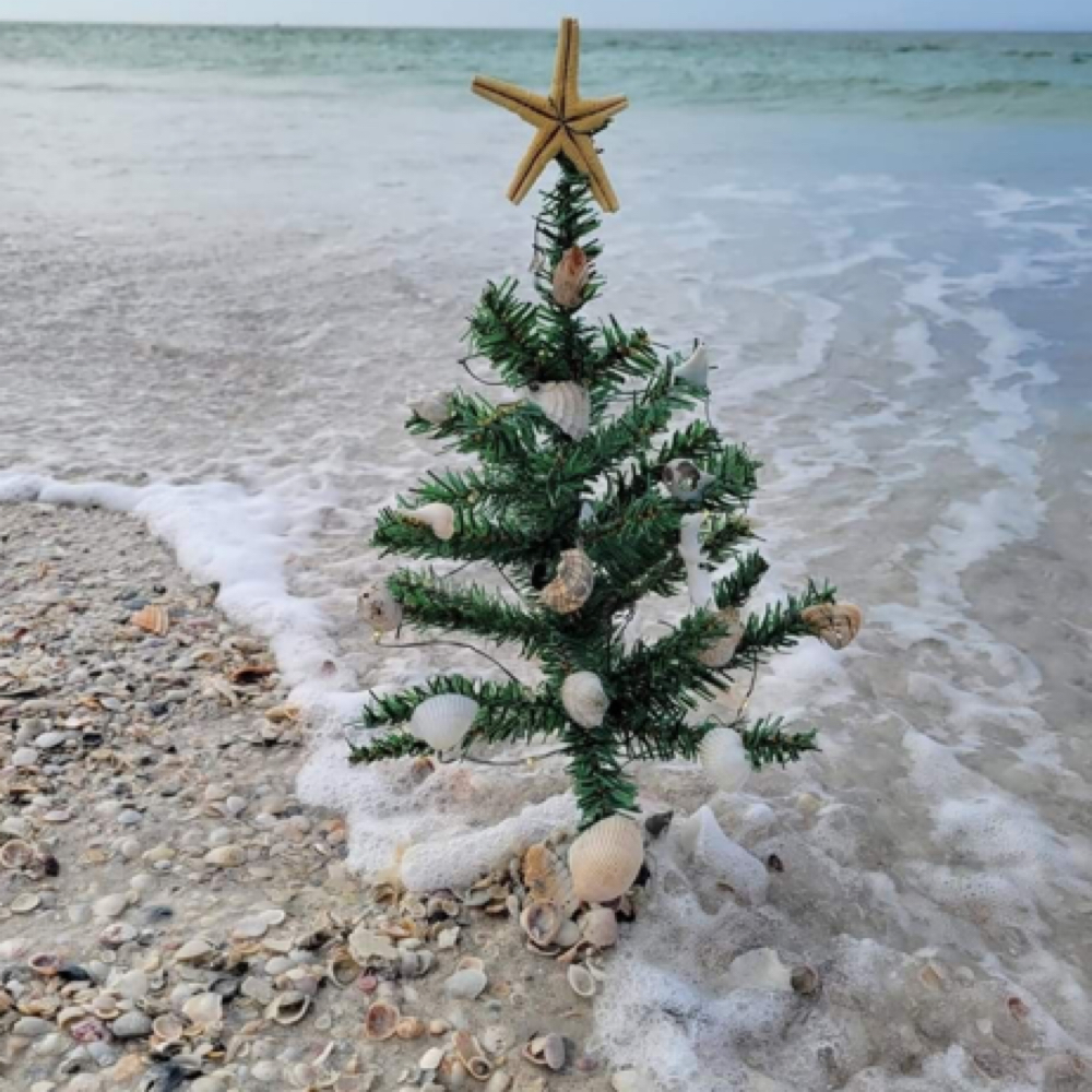 Christmas In July 7/17 & 7/18 ONLY at Moonstone Skinš in Piqua, OH