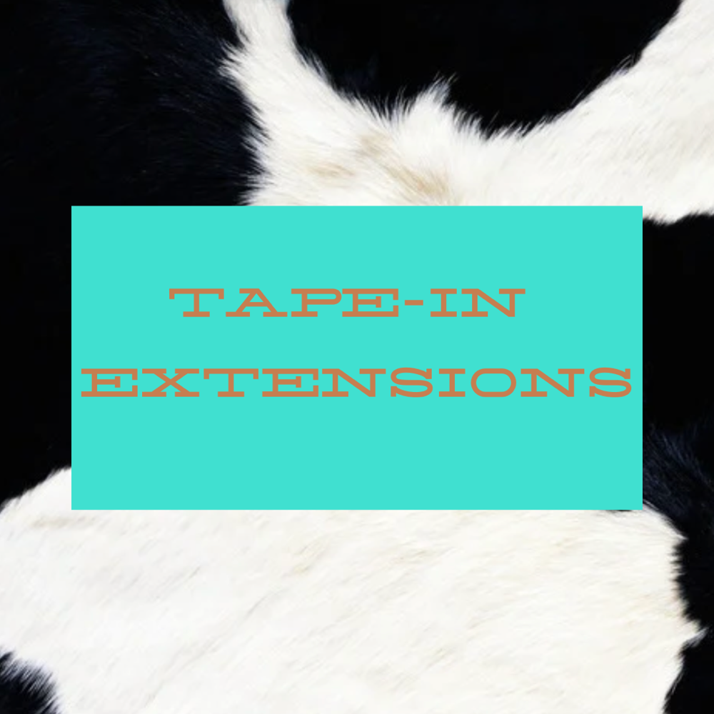 Tape-in extentions