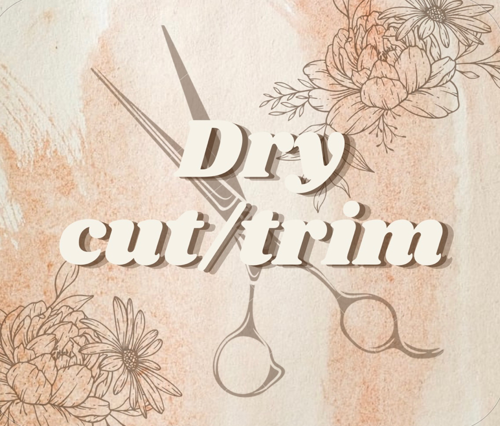 Dry Haircut/Trim