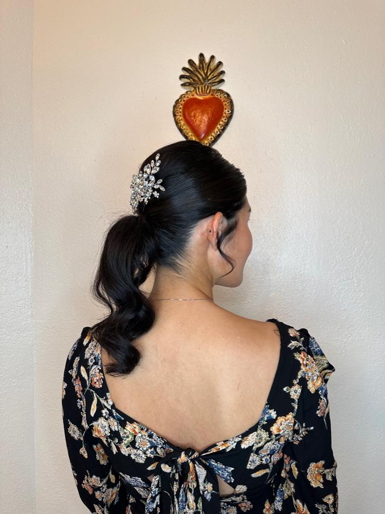 Updo/ Special Occasion Hair