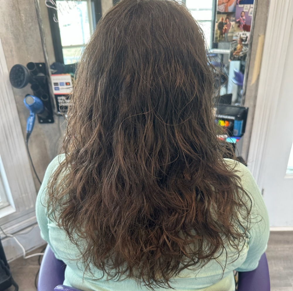 Shampoo & Basic Blow Dry at Tinker Maid Creations in Anderson, IN