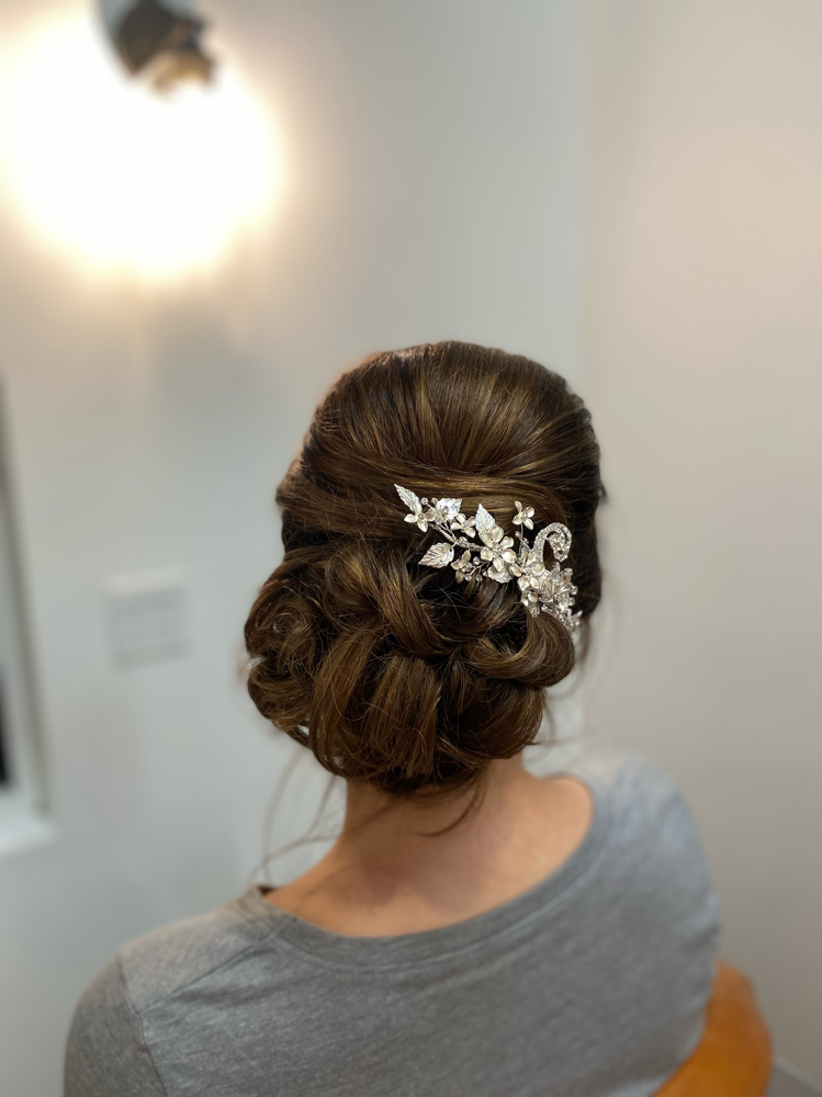 Updo/ Special Occasion