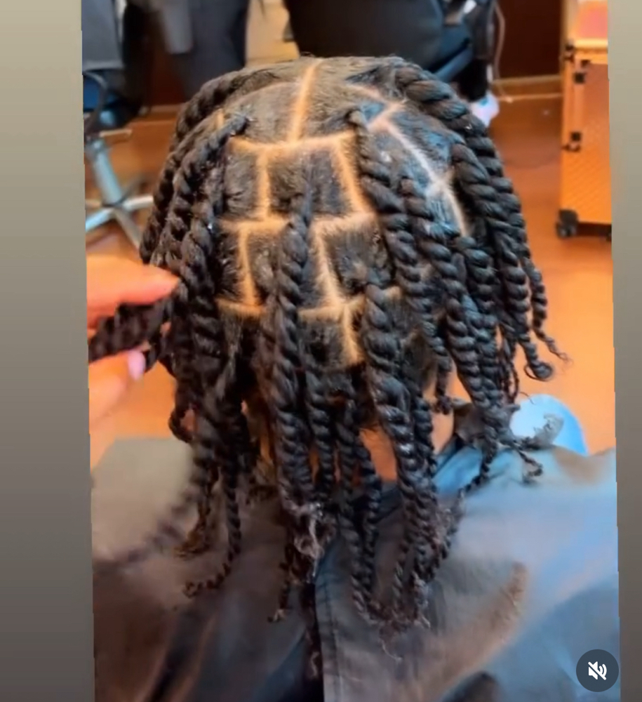 Two Strand Twist