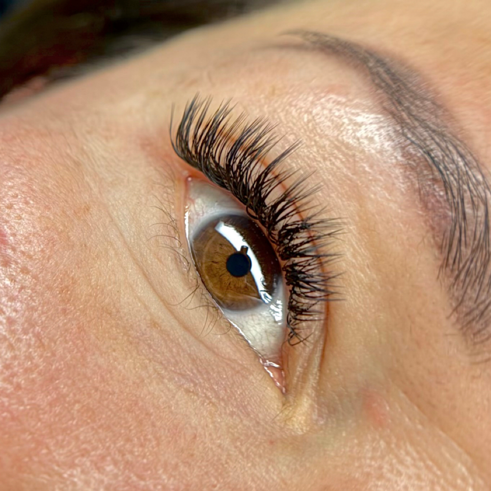 M Curl Upgrade at Gingie Lashes & Brows in Buffalo Grove, IL
